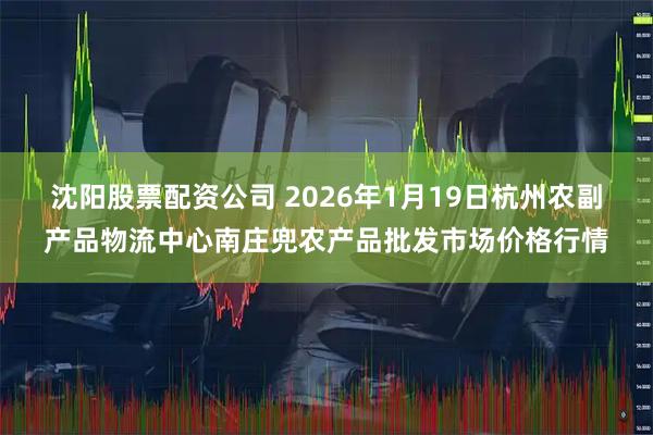 沈阳股票配资公司 2026年1月19日杭州农副产品物流中心南庄兜农产品批发市场价格行情