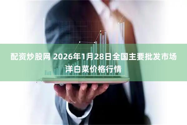 配资炒股网 2026年1月28日全国主要批发市场洋白菜价格行情