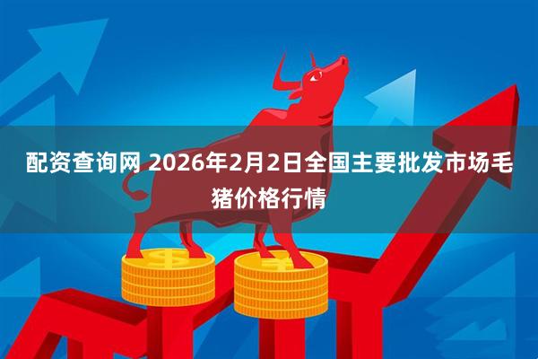 配资查询网 2026年2月2日全国主要批发市场毛猪价格行情